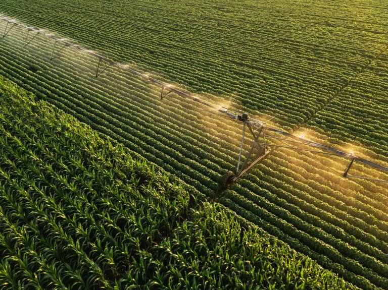 Water in Daily Life: Agriculture, Domestic Uses, and Industry - Novatech - Blog